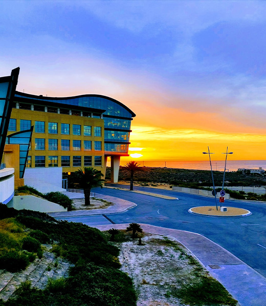 Alicante, Connection Human 2 Human, H2H